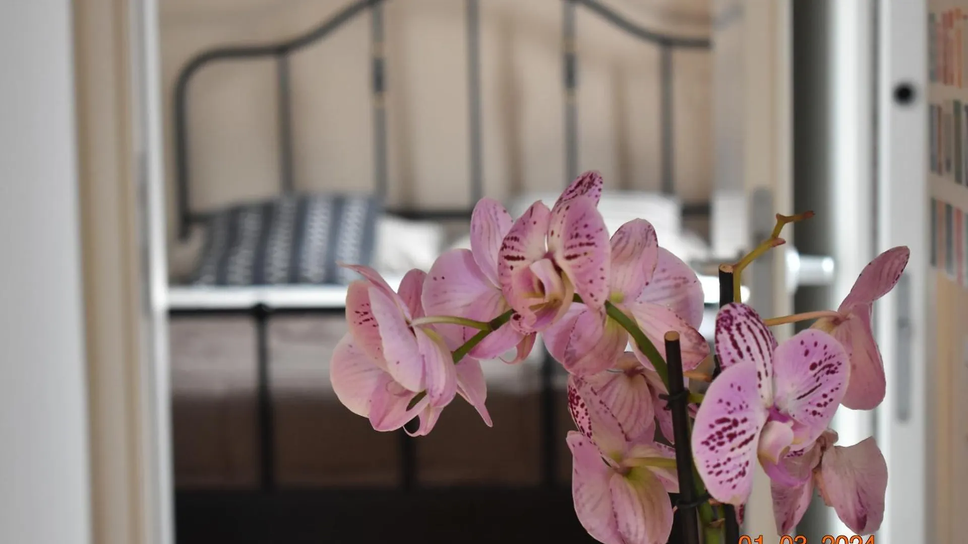 Trastevere St Ariabianca House Rome Apartment