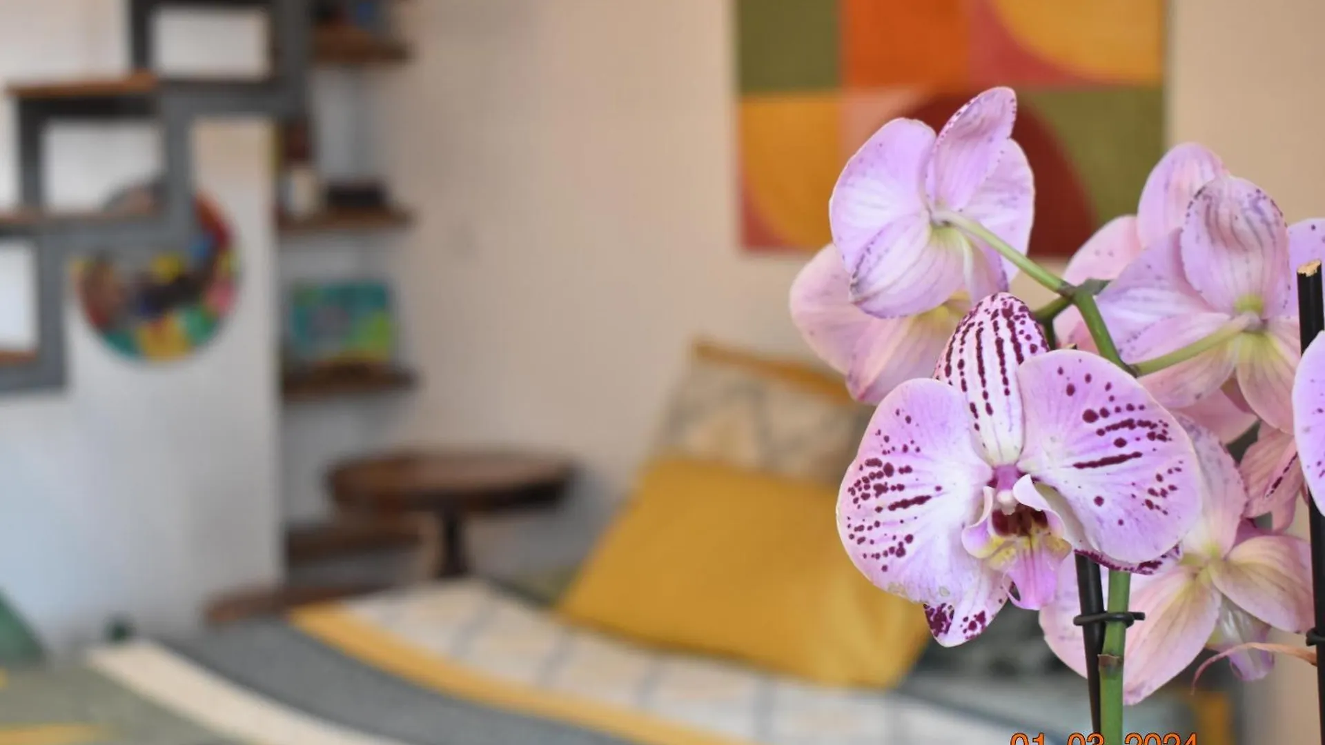 Trastevere St Ariabianca House Rome Apartment